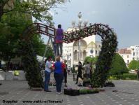 Imagine atasata: Timfloralis - 2015.05.20 - 04.jpg